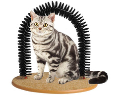 cat using self grooming comb