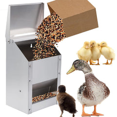 Automatic Chicken Feeder