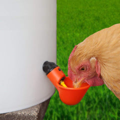 Chicken Drinker Cups – 10 Pack Automatic Poultry Water Feeder with Peck Trigger