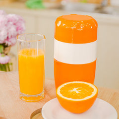 Hand Juicer Citrus Orange Squeezer Manual