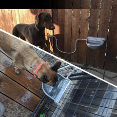 Auto Fill Water Trough Bowl