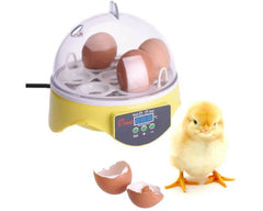 Egg incubator with digital display