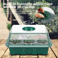 Greenhouse With Seed Tray Green