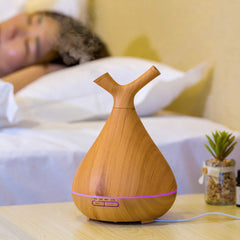 Essential Oil Diffuser Humidifier