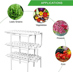 3 Layers Hydroponic Grow Kit