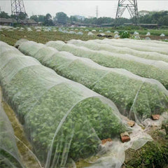 Insect Netting Vegetables Plant Crop Mesh Protection