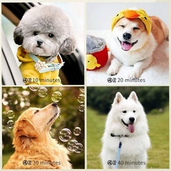 Dog Cat Pet Dryer Pet Hair Dryer