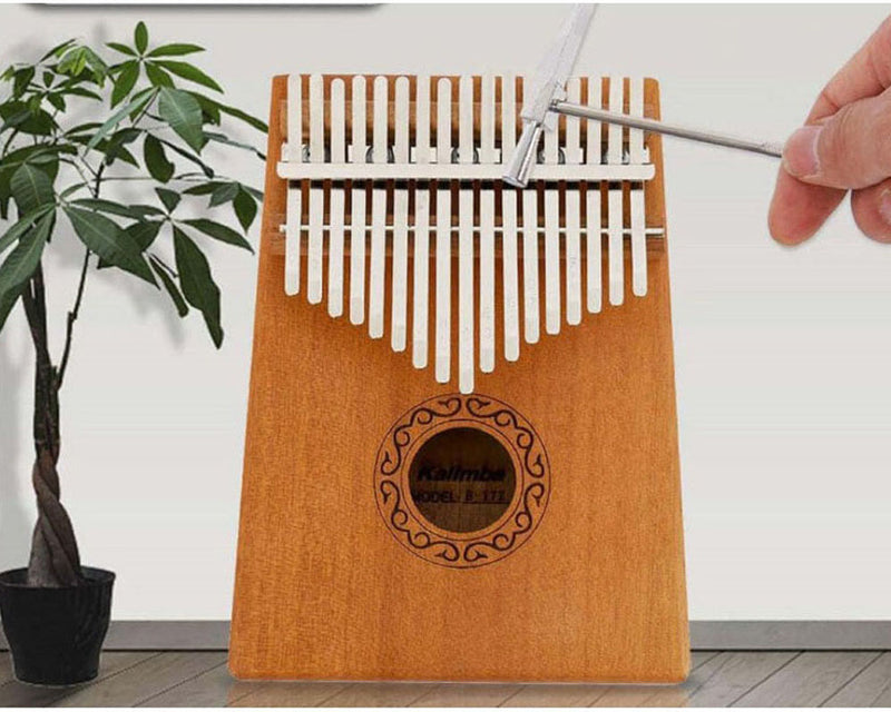 Thumb Piano Kalimba 17 Keys with Portable Case