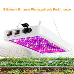 LED Grow Light For Plants