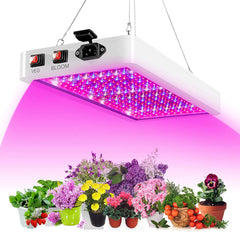 LED Grow Light For Plants