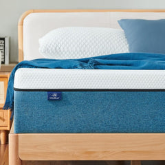 memory foam mattress Queen size