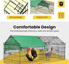 Outdoor Chicken Coop