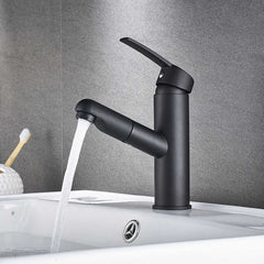 Kitchen Sink Taps Pull Out Sprayer Kitchen Faucet Mixer Tap