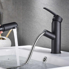 Kitchen Sink Taps Pull Out Sprayer Kitchen Faucet Mixer Tap