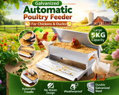 Automatic Chicken Feeder 5kg