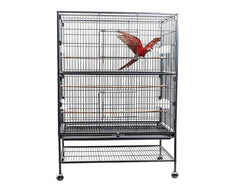 Bird Cage Parrot Aviary Perch Carrier