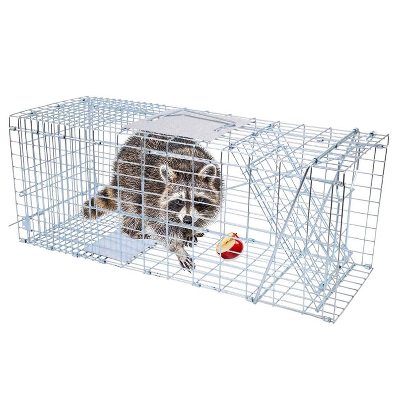 large possum trap cage