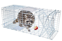 Possum Trap Large Animal Trap