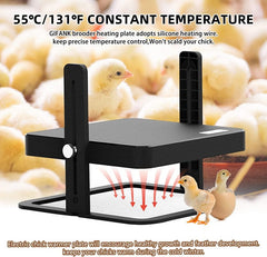 Chick Brooder Heating Plate Warmer,Chicken Coop Heater