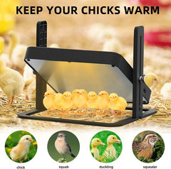 Chick Brooder Heating Plate Warmer,Chicken Coop Heater