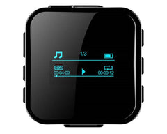 MP3 player with long battery