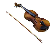 soft case for violin