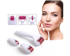 Derma Roller 4 In 1 Derma Roller