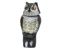 owl with swivel head