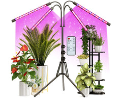 Full spectrum plant grow light