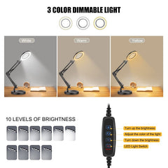 Magnifying Desk Lamp