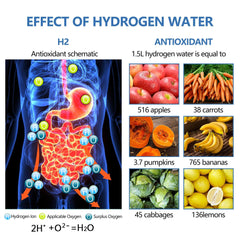 Hydrogen Water Generator Bottle