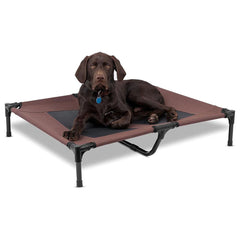 Raised dog trampoline bed