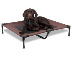 Dog Bed Trampoline