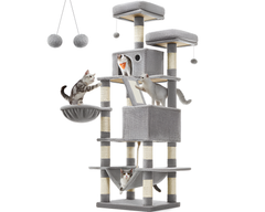 Cat Tree House