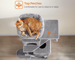 Cat Tree House with Scratching Posts
