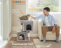 Cat Tree House with Scratching Posts