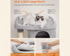 Cat Tree House with Scratching Posts