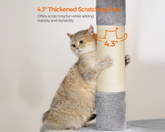 Cat Tree House with Scratching Posts