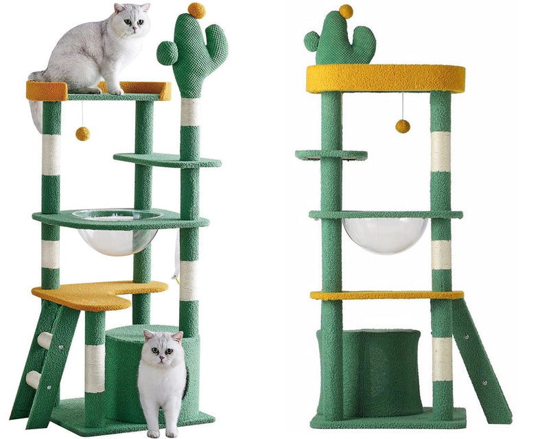 Cat Tree House Cat Tree