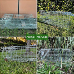 Possum Trap Large Animal Trap