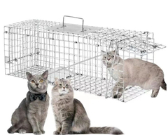 possums raccoons squirrel trap