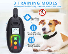 Anti Bark and Training Dog Collar