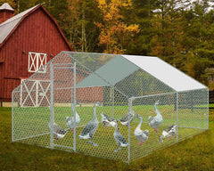 Outdoor Chicken Coop 4Mx3M