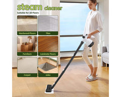 Steam Cleaner cleaning machine multifunctional