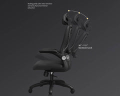 Ergonomic Office Chair
