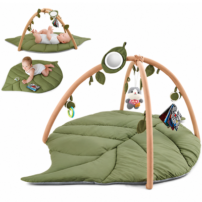 Baby Play Gym