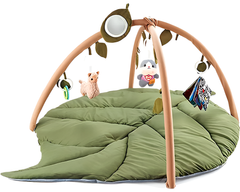 Baby Play Gym
