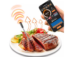 Meat Thermometer