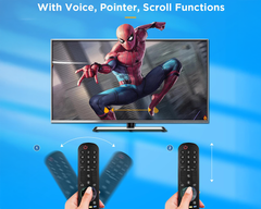 LG TV Remote Replacement