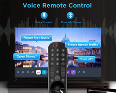 LG TV Remote Replacement